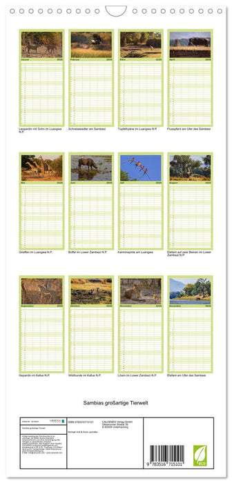 Sambias großartige Tierwelt (CALVENDO Familienplaner 2026)
