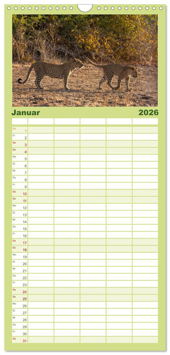 Sambias großartige Tierwelt (CALVENDO Familienplaner 2026)