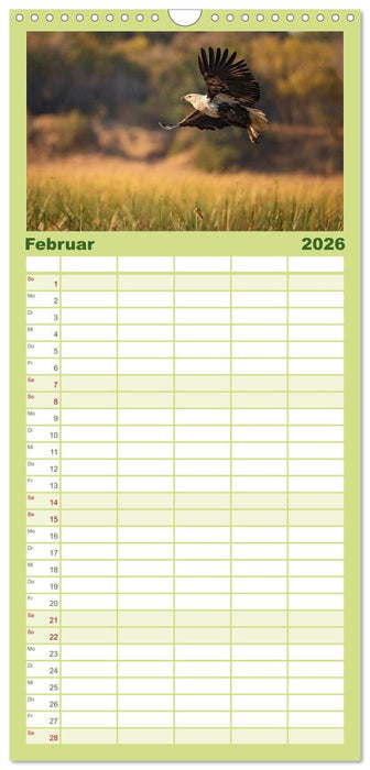 Sambias großartige Tierwelt (CALVENDO Familienplaner 2026)
