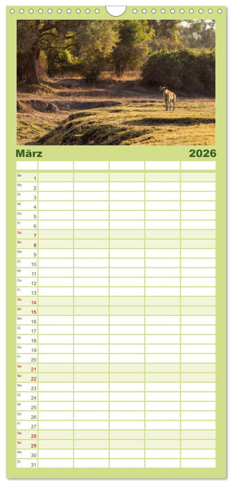 Sambias großartige Tierwelt (CALVENDO Familienplaner 2026)