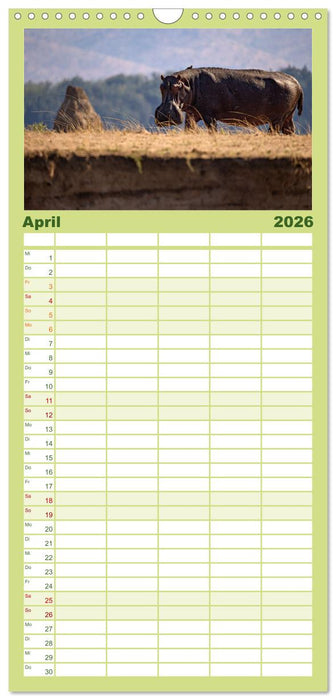 Sambias großartige Tierwelt (CALVENDO Familienplaner 2026)