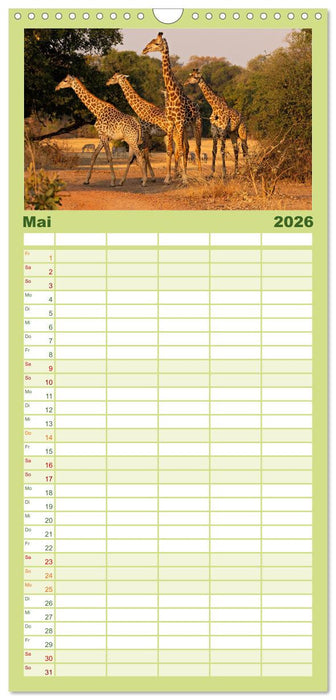 Sambias großartige Tierwelt (CALVENDO Familienplaner 2026)