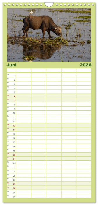 Sambias großartige Tierwelt (CALVENDO Familienplaner 2026)