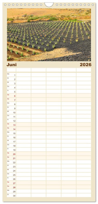 Fuerteventura – Von Stränden und Bergen (CALVENDO Familienplaner 2026)