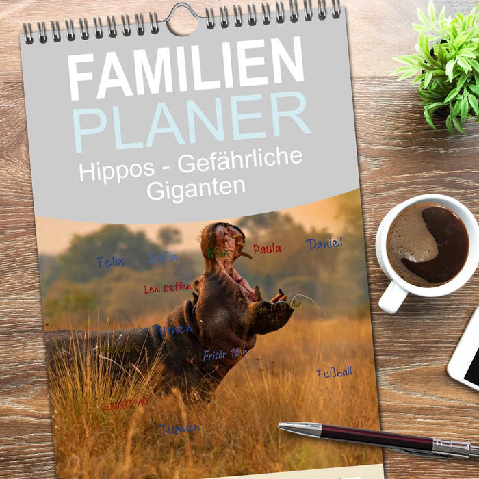 Hippos - Gefährliche Giganten (CALVENDO Familienplaner 2026)