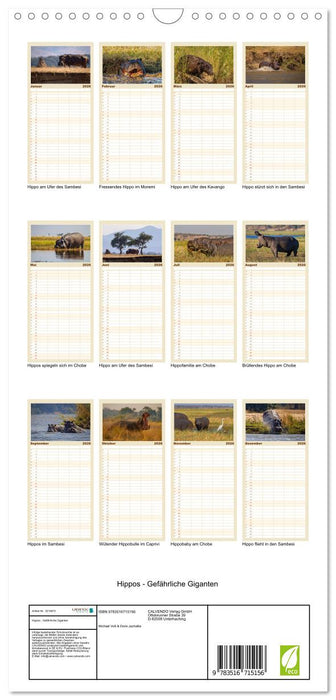 Hippos - Gefährliche Giganten (CALVENDO Familienplaner 2026)