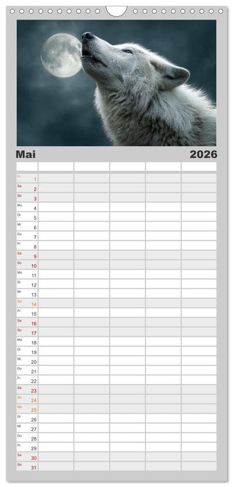 Wölfe im Mondlicht - Ruf der Wildnis (CALVENDO Familienplaner 2026)