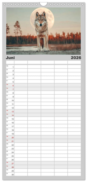 Wölfe im Mondlicht - Ruf der Wildnis (CALVENDO Familienplaner 2026)