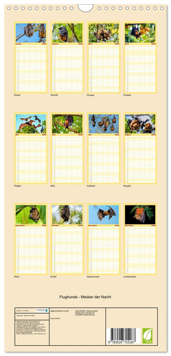 Flughunde - Meister der Nacht (CALVENDO Familienplaner 2026)