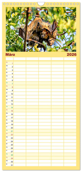 Flughunde - Meister der Nacht (CALVENDO Familienplaner 2026)
