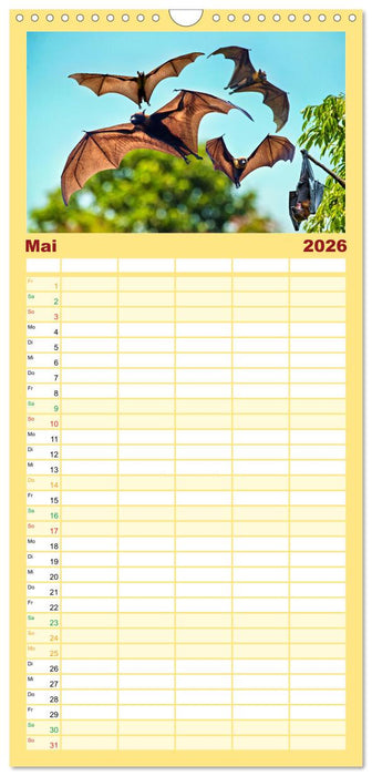 Flughunde - Meister der Nacht (CALVENDO Familienplaner 2026)