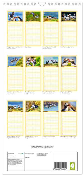 Tieftaucher Papageitaucher (CALVENDO Familienplaner 2026)