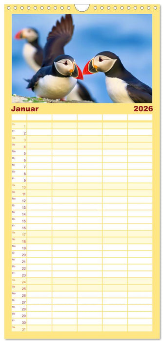 Tieftaucher Papageitaucher (CALVENDO Familienplaner 2026)