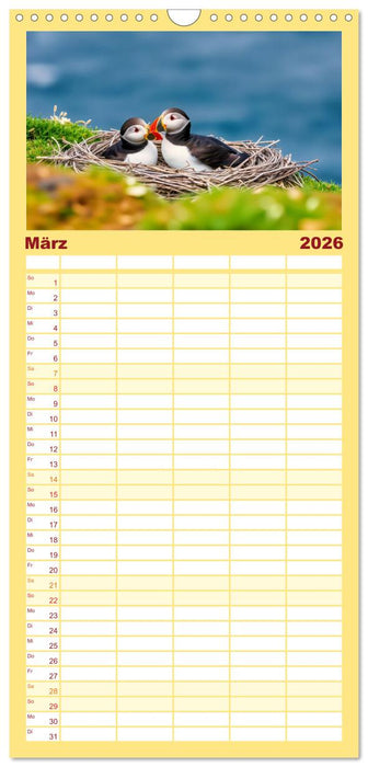 Tieftaucher Papageitaucher (CALVENDO Familienplaner 2026)