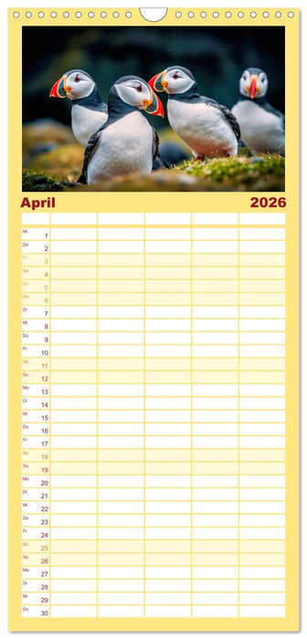 Tieftaucher Papageitaucher (CALVENDO Familienplaner 2026)