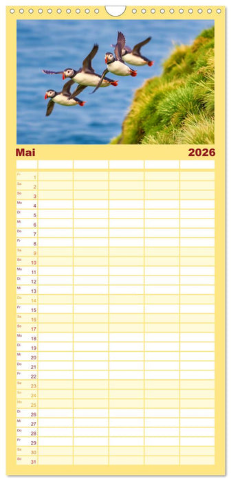 Tieftaucher Papageitaucher (CALVENDO Familienplaner 2026)