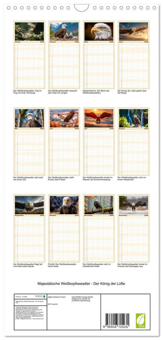 Majestätische Weißkopfseeadler - Der König der Lüfte (CALVENDO Familienplaner 2026)