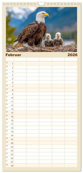 Majestätische Weißkopfseeadler - Der König der Lüfte (CALVENDO Familienplaner 2026)