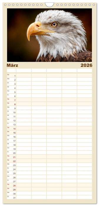 Majestätische Weißkopfseeadler - Der König der Lüfte (CALVENDO Familienplaner 2026)