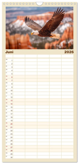Majestätische Weißkopfseeadler - Der König der Lüfte (CALVENDO Familienplaner 2026)