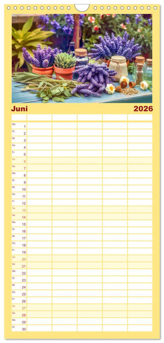 Lavendel für deine Sinne (CALVENDO Familienplaner 2026)