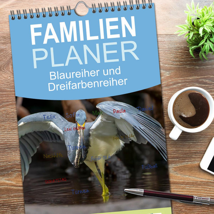 Blaureiher und Dreifarbenreiher (CALVENDO Familienplaner 2026)