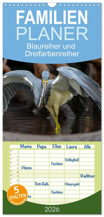 Blaureiher und Dreifarbenreiher (CALVENDO Familienplaner 2026)