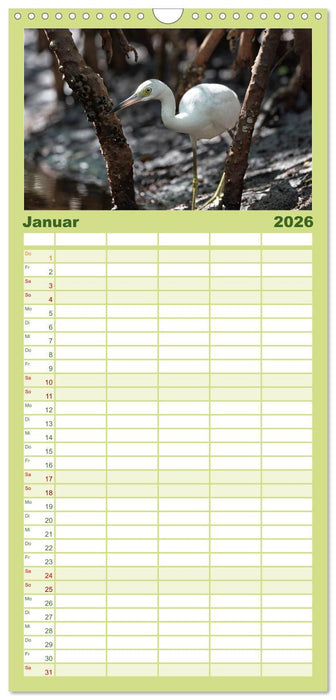 Blaureiher und Dreifarbenreiher (CALVENDO Familienplaner 2026)