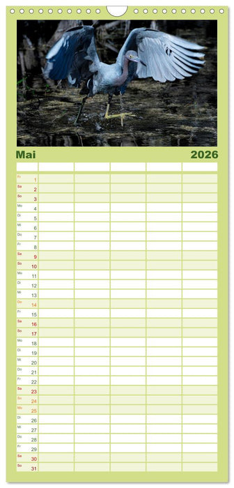 Blaureiher und Dreifarbenreiher (CALVENDO Familienplaner 2026)
