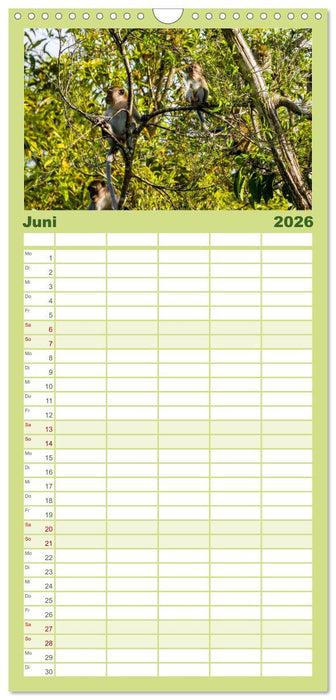 Entdecke Sumatra (CALVENDO Familienplaner 2026)