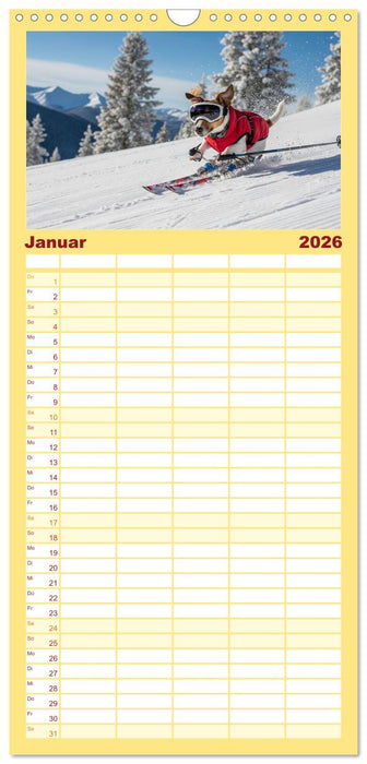 Jack Russel Active (CALVENDO Familienplaner 2026)