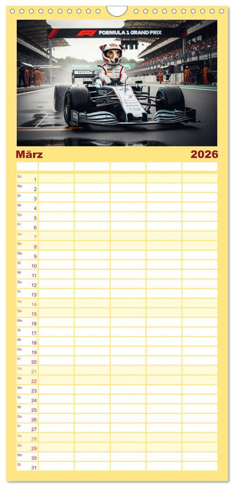 Jack Russel Active (CALVENDO Familienplaner 2026)