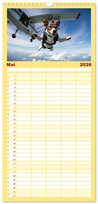 Jack Russel Active (CALVENDO Familienplaner 2026)