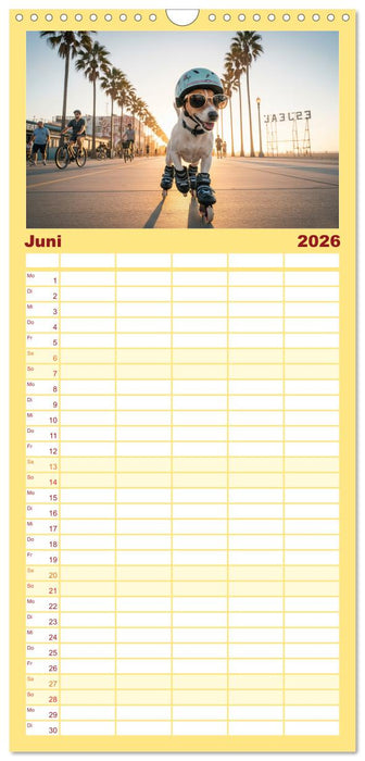 Jack Russel Active (CALVENDO Familienplaner 2026)