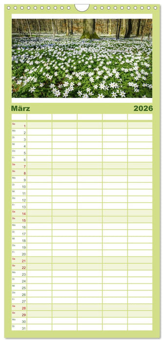 Die RHÖN: Faszinierende Berge und lebendige Bäche (CALVENDO Familienplaner 2026)
