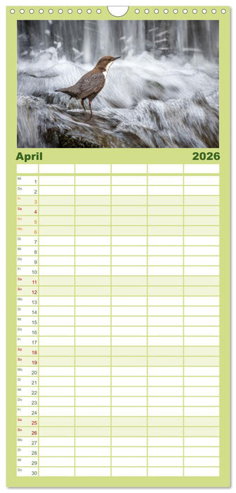Die RHÖN: Faszinierende Berge und lebendige Bäche (CALVENDO Familienplaner 2026)