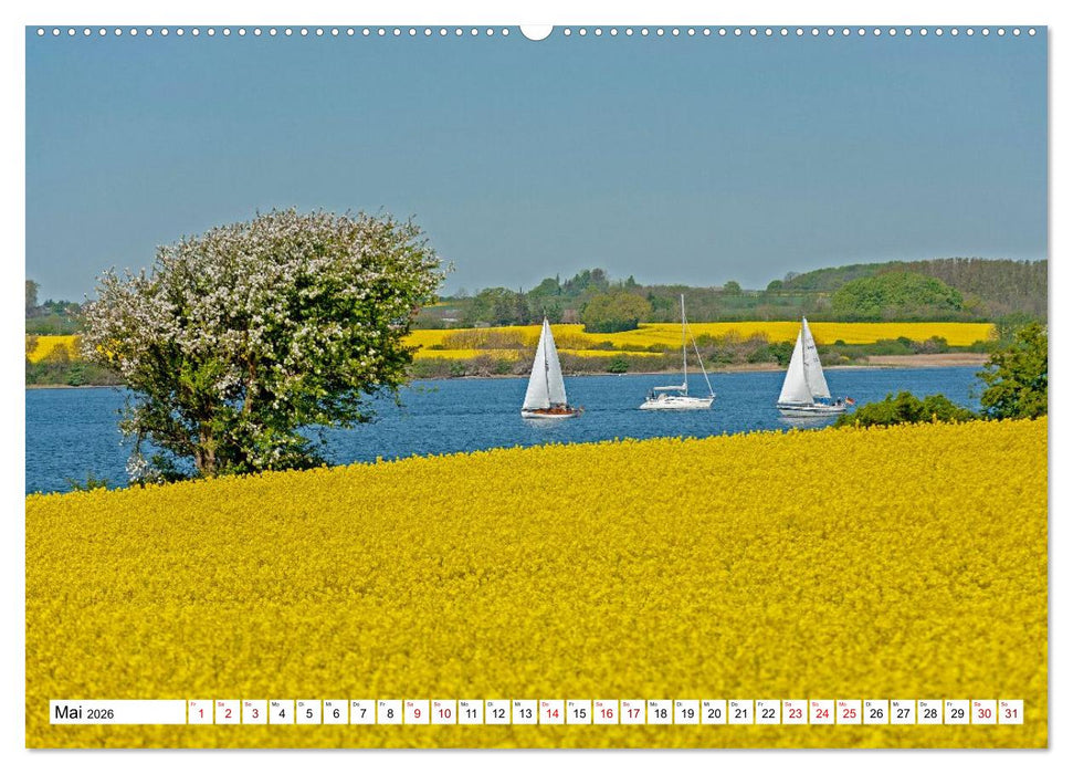 Angeln - Landschaft zwischen Schlei und Flensburger Förde (CALVENDO Wandkalender 2026)