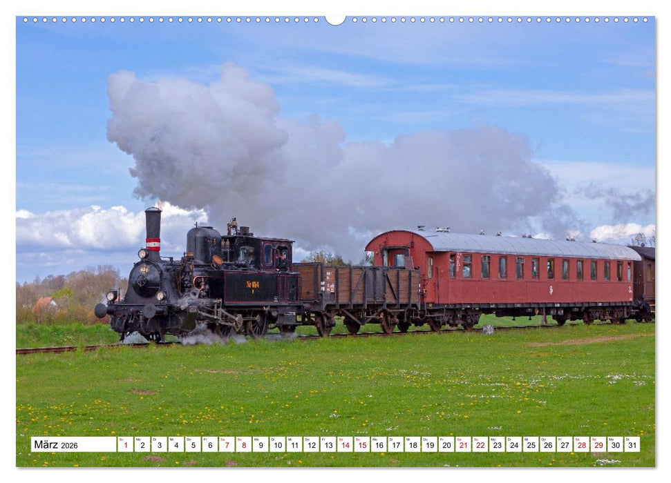 Angeln - Landschaft zwischen Schlei und Flensburger Förde (CALVENDO Premium Wandkalender 2026)