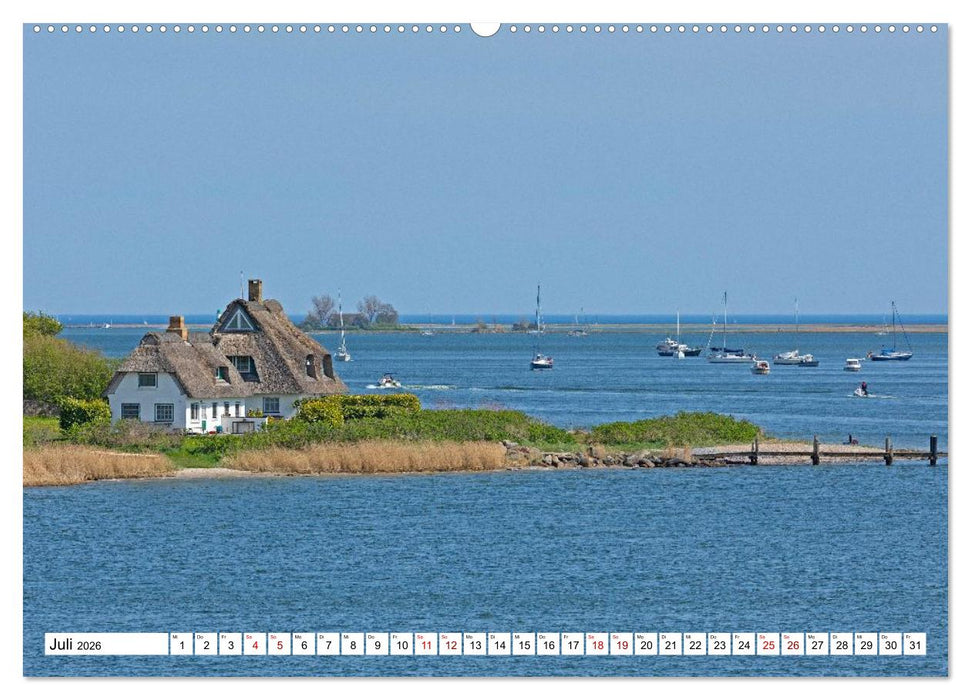 Angeln - Landschaft zwischen Schlei und Flensburger Förde (CALVENDO Premium Wandkalender 2026)