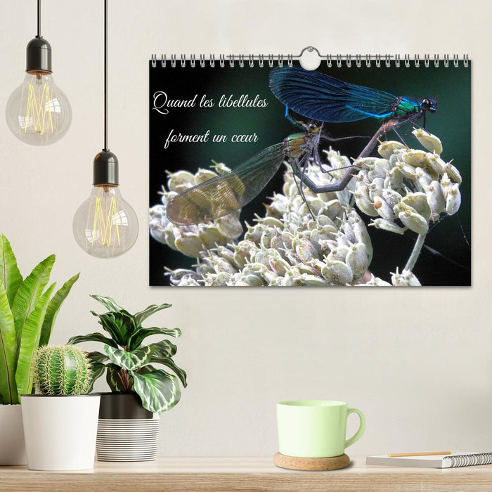 Quand les libellules forment un cœur (CALVENDO Calendrier mensuel 2026)