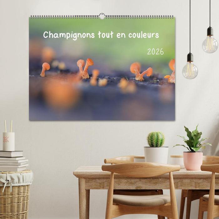 Champignons tout en couleurs (CALVENDO Calendrier mensuel 2026)