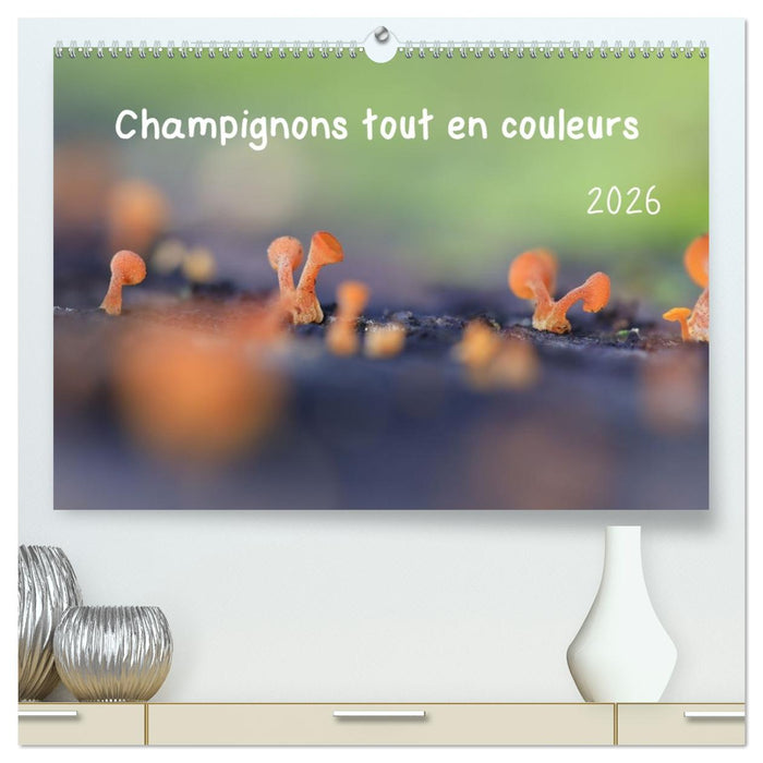Champignons tout en couleurs (CALVENDO Calendrier supérieur 2026)