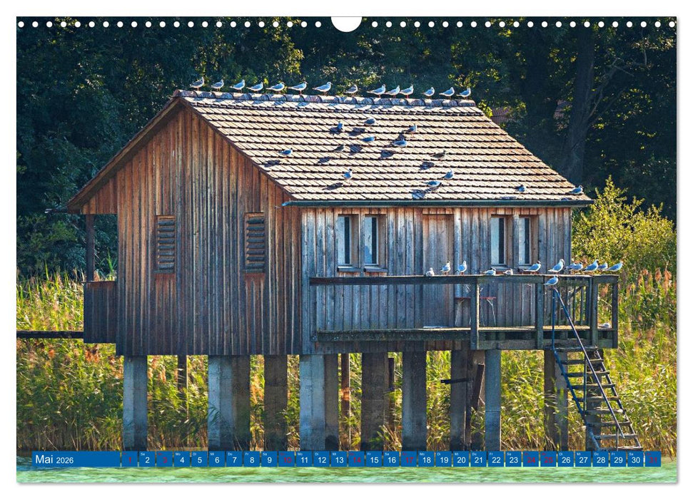 Drei Länder ein See - Bodensee (CALVENDO Wandkalender 2026)