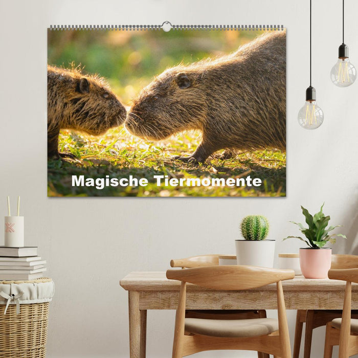 Magische Tiermomente (CALVENDO Wandkalender 2026)
