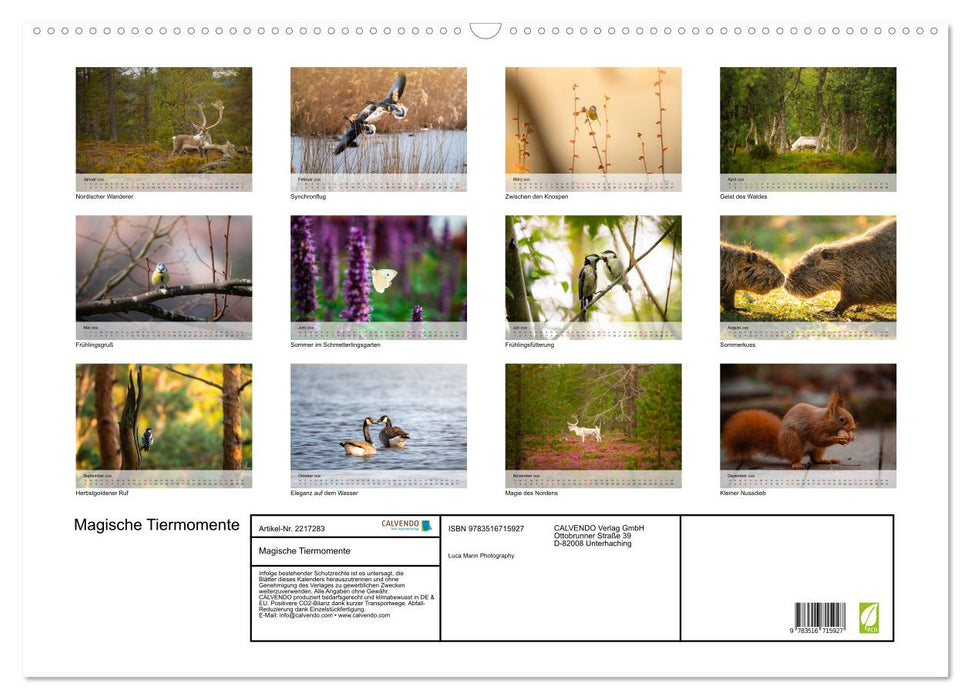 Magische Tiermomente (CALVENDO Wandkalender 2026)