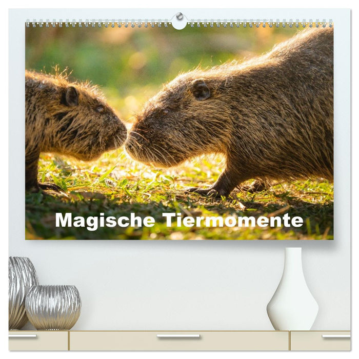 Magische Tiermomente (CALVENDO Premium Wandkalender 2026)
