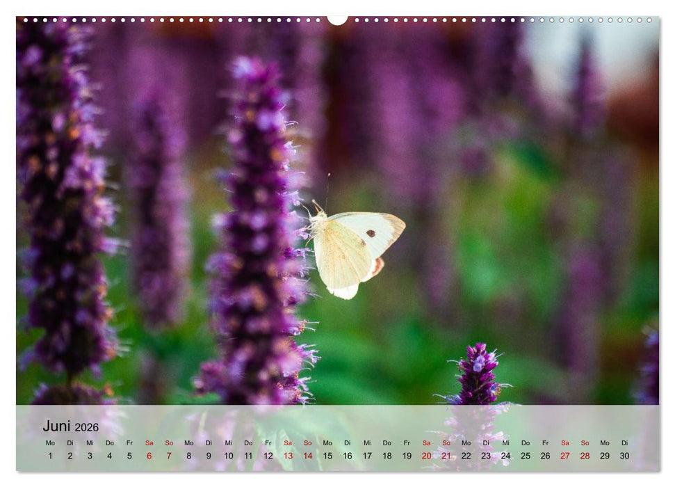 Magische Tiermomente (CALVENDO Premium Wandkalender 2026)