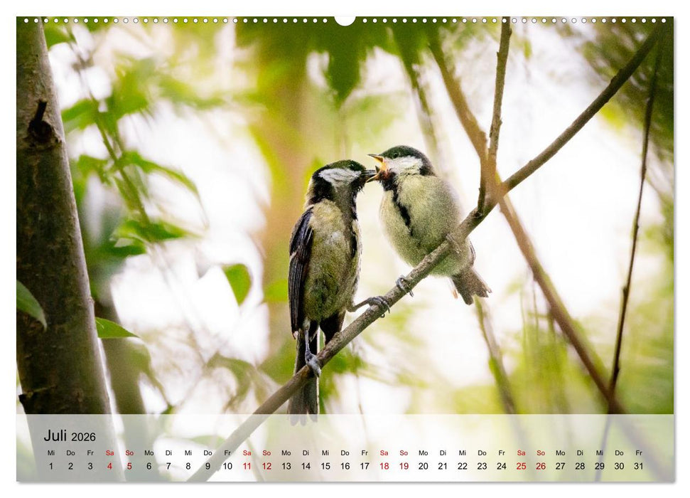 Magische Tiermomente (CALVENDO Premium Wandkalender 2026)