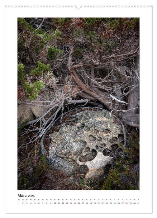 Skulpturen aus Wind und Wellen (CALVENDO Wandkalender 2026)