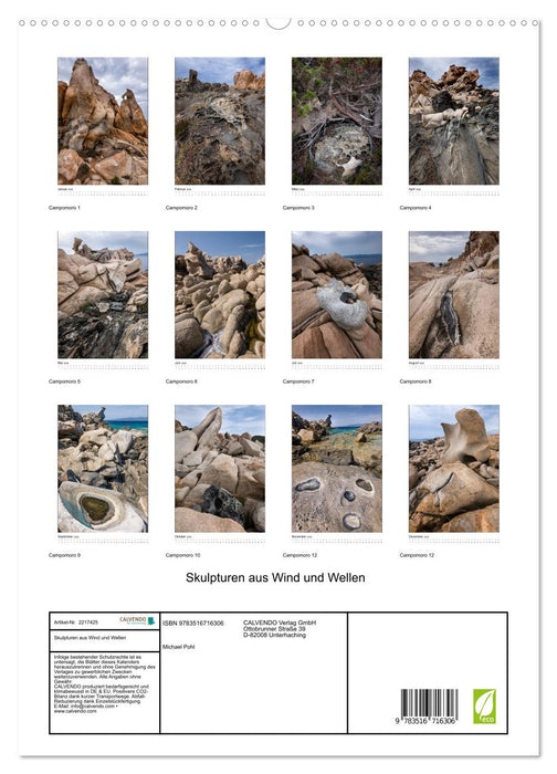Skulpturen aus Wind und Wellen (CALVENDO Premium Wandkalender 2026)
